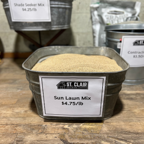 Grass seed