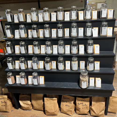 Bulk seed